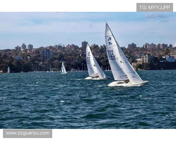 帆船项目海上气象预报应用